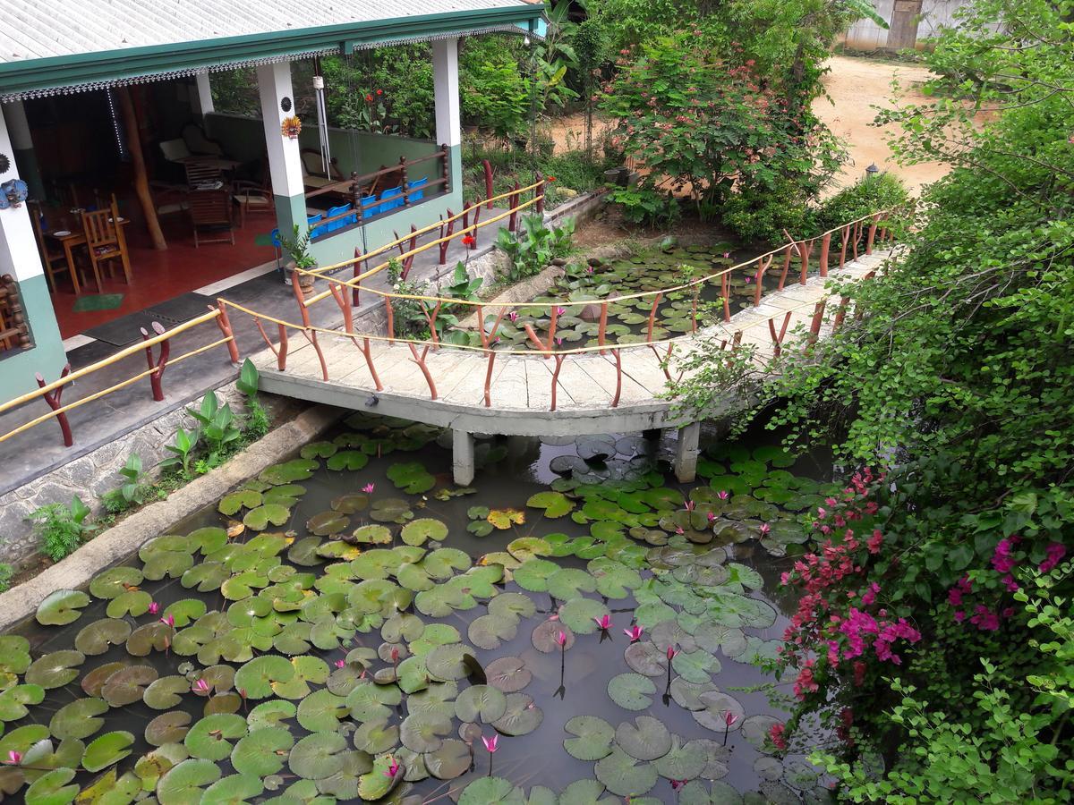 Hungry Lion Resort Sigiriya Exterior foto