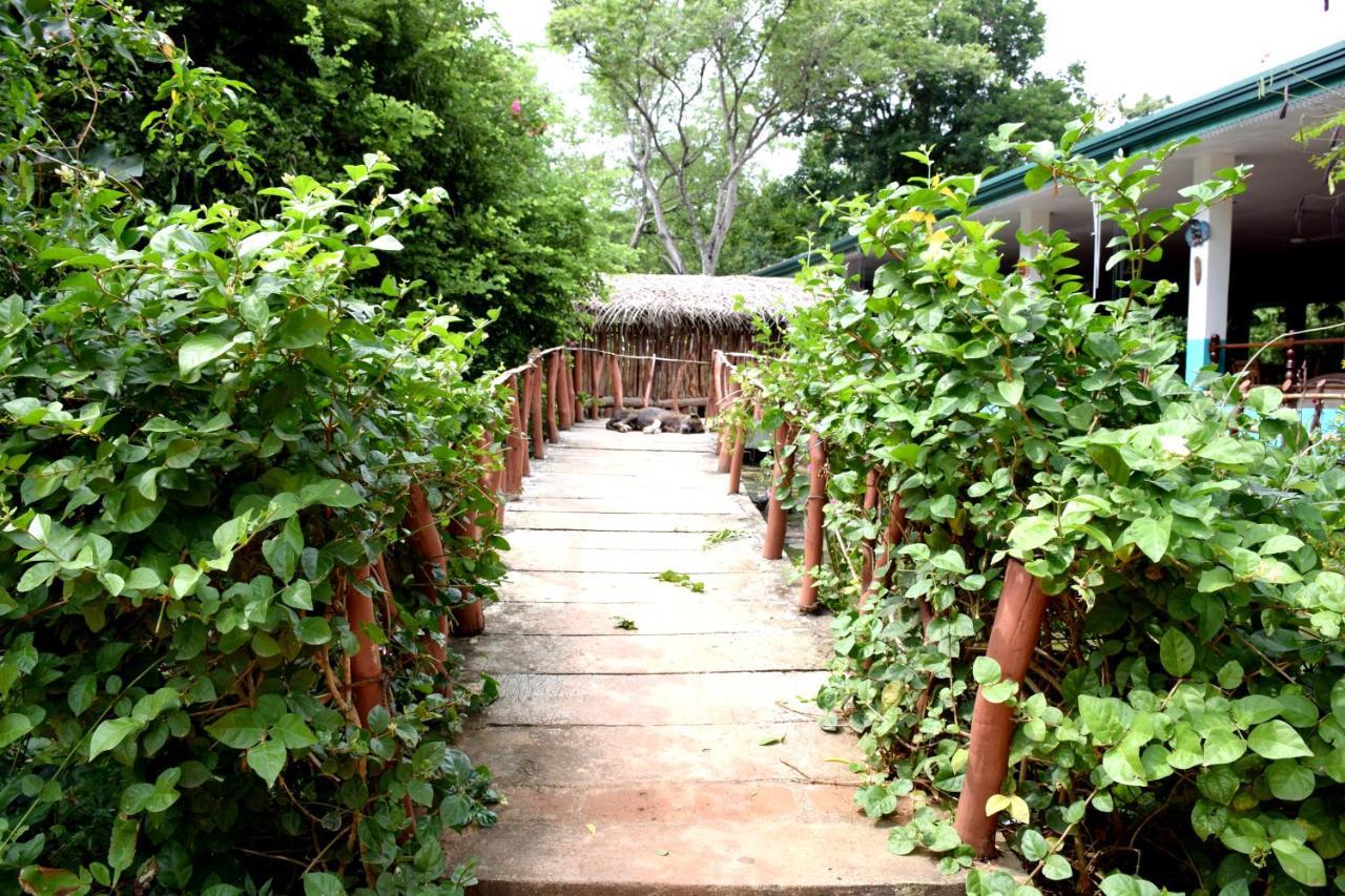 Hungry Lion Resort Sigiriya Exterior foto