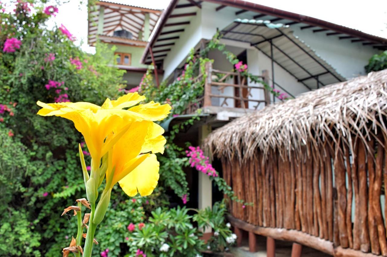 Hungry Lion Resort Sigiriya Exterior foto