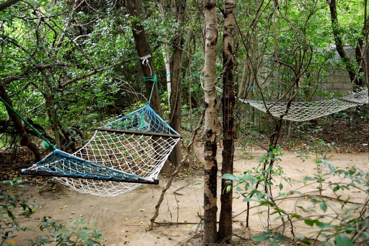 Hungry Lion Resort Sigiriya Exterior foto